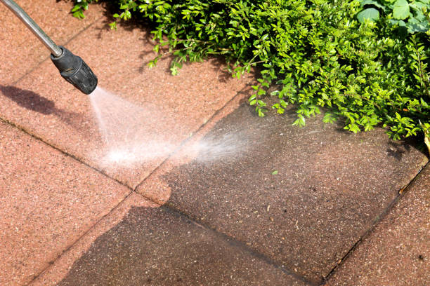 Best Roof Power Washing Services  in Tarpey Village, CA